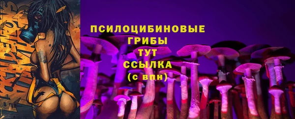 шишки Орск